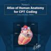 Netter’s Atlas of Human Anatomy for CPT Coding, Third Edition (EPUB and CONVERTED PDF) Netter’s Atlas of Human Anatomy for CPT Coding, Third Edition (EPUB and CONVERTED PDF)
