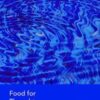 Food for Thought: The Integrated Practitioner 2013 Original PDF Food for Thought: The Integrated Practitioner 2013 Original PDF