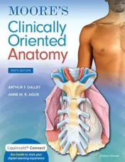 Moore's Clinically Oriented Anatomy, 9th Edition 2021 EPUB3 + Converted PDF