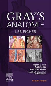 Gray's Anatomie - Les fiches 2020 Original PDF