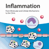 Inflammation: From Molecular and Cellular Mechanisms to the Clinic