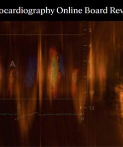 Mayo Clinic Echocardiography Online Board Review 2022 (CME VIDEOS)