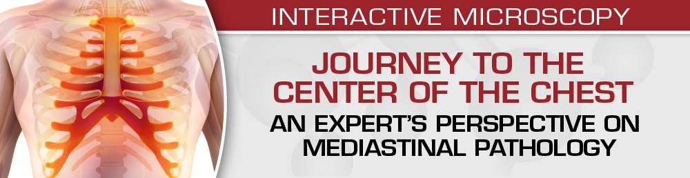Journey to the Center of the Chest: An expert’s perspective on mediastinal pathology 2021