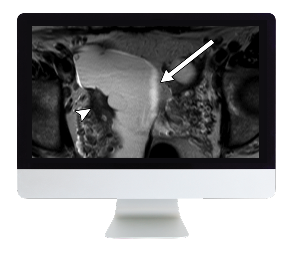Women's Imaging