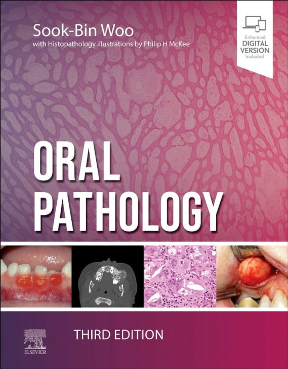 2024 Oral Pathology 3rd Edition PDF Original 2024 Oral Pathology 3rd Edition PDF Original