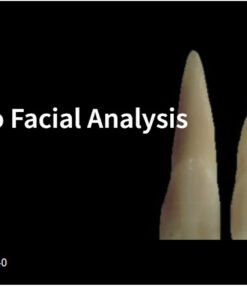Spear An Introduction to Facial Analysis