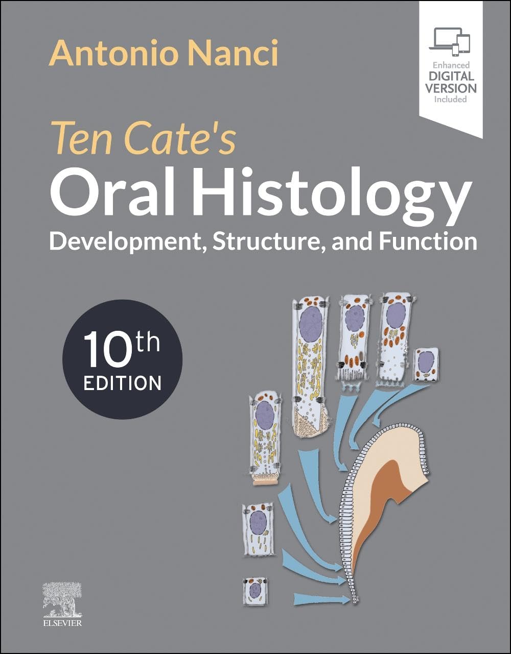 Ten Cate’s Oral Histology: Development, Structure, and Function, 10th edition (Original PDF from Publisher)