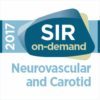 Transradial access: The basics (On-demand)