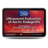 Ultrasound Evaluation of Aortic Endografts