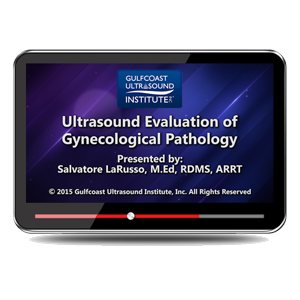 Ultrasound Evaluation of Gynecological Pathology
