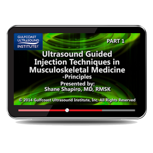 Ultrasound-Guided Injections in Musculoskeletal Medicine